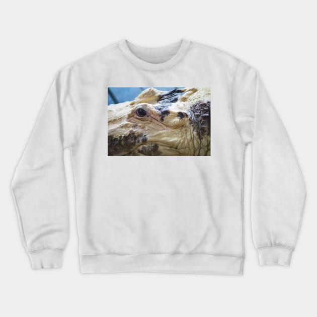 Albino Alligator Crewneck Sweatshirt by KensLensDesigns